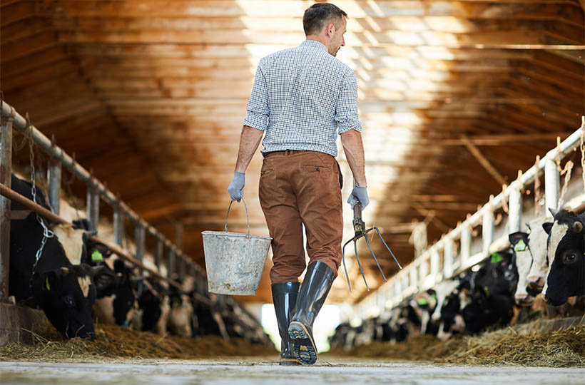 D’Onofrio Group | Agricoltura, retail e pet food
